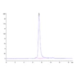 SEC-HPLC - Recombinant SARS-CoV-2 Spike RBD Protein (C-terminal His and Avi Tag) (A331831) - Antibodies.com