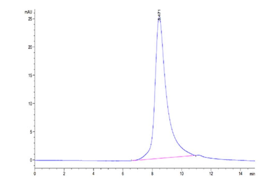 SEC-HPLC - Recombinant SARS-CoV-2 Spike RBD Protein (C-terminal His Tag) (A331832) - Antibodies.com
