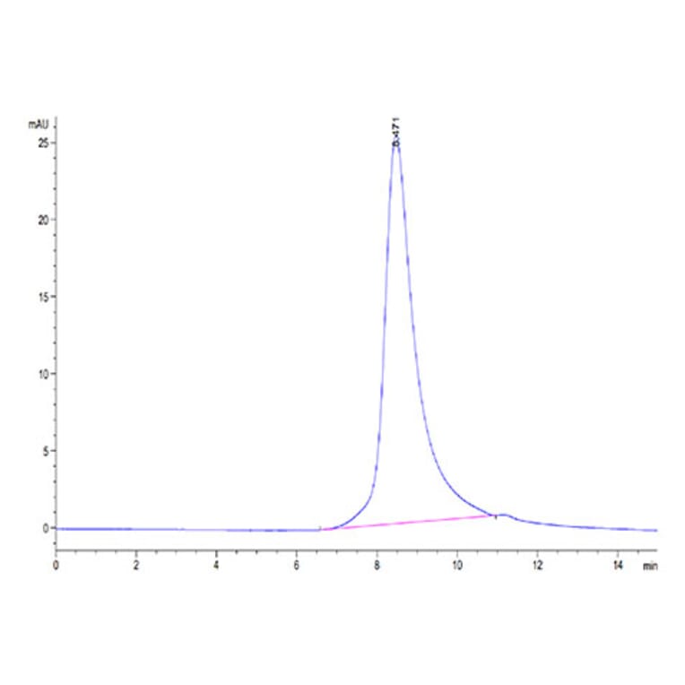 SEC-HPLC - Recombinant SARS-CoV-2 Spike RBD Protein (C-terminal His Tag) (A331832) - Antibodies.com
