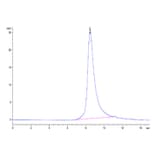 SEC-HPLC - Recombinant SARS-CoV-2 Spike RBD Protein (C-terminal His Tag) (A331832) - Antibodies.com