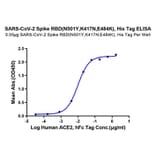 Standard Curve - Recombinant SARS-CoV-2 Spike RBD Protein (C-terminal His Tag) (A331832) - Antibodies.com