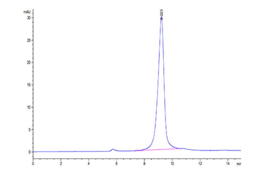 SEC-HPLC - Recombinant SARS-CoV-2 Spike RBD Protein (C-terminal His Tag) (A331833) - Antibodies.com
