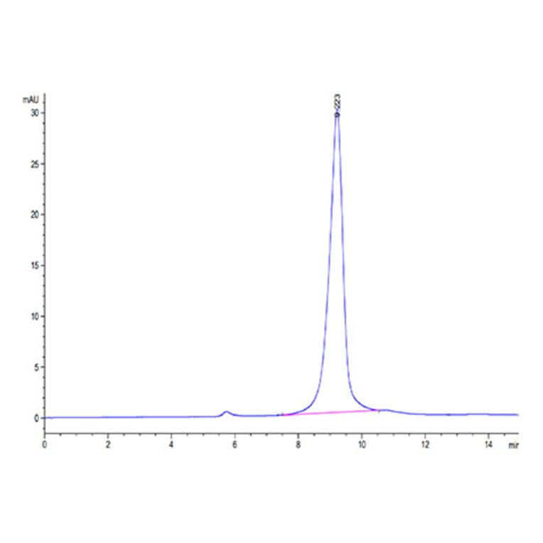 SEC-HPLC - Recombinant SARS-CoV-2 Spike RBD Protein (C-terminal His Tag) (A331833) - Antibodies.com