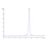 SEC-HPLC - Recombinant SARS-CoV-2 Spike RBD Protein (C-terminal His Tag) (A331833) - Antibodies.com