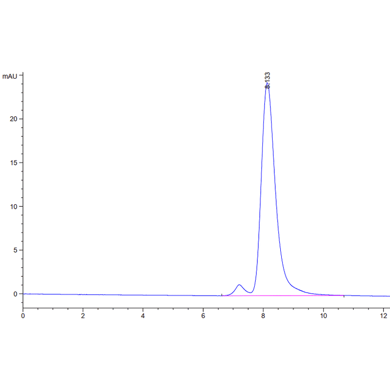 SEC-HPLC - Recombinant SARS-CoV-2 Spike RBD Protein (C-terminal Human Fc and Avi Tag) (A331834) - Antibodies.com