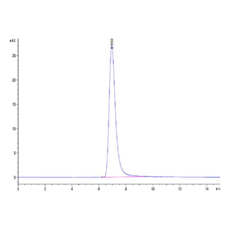 SEC-HPLC - Recombinant SARS-CoV-2 Spike RBD Protein (C-terminal Human Fc Tag) (A331835) - Antibodies.com