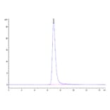 SEC-HPLC - Recombinant SARS-CoV-2 Spike RBD Protein (C-terminal Human Fc Tag) (A331835) - Antibodies.com