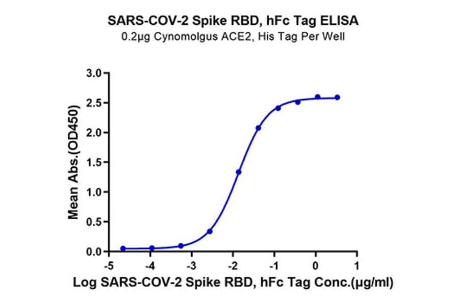 Standard Curve - Recombinant SARS-CoV-2 Spike RBD Protein (C-terminal Human Fc Tag) (A331835) - Antibodies.com