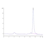 SEC-HPLC - Recombinant SARS-CoV-2 Spike RBD Protein (C-terminal His Tag) (A331836) - Antibodies.com