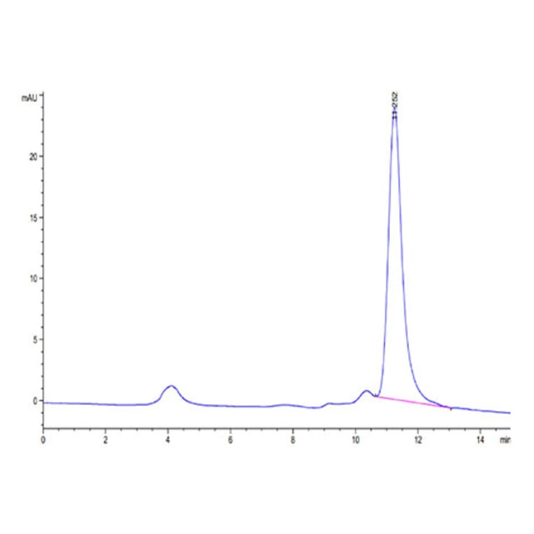 SEC-HPLC - Recombinant SARS-CoV-2 Spike RBD Protein (C-terminal His Tag) (A331836) - Antibodies.com