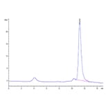 SEC-HPLC - Recombinant SARS-CoV-2 Spike RBD Protein (C-terminal His Tag) (A331836) - Antibodies.com