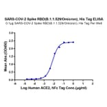 Standard Curve - Recombinant SARS-CoV-2 Spike RBD Protein (C-terminal His Tag) (A331836) - Antibodies.com