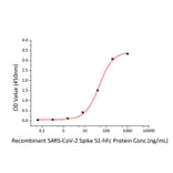 Standard Curve - Recombinant SARS-CoV-2 Spike RBD Protein (C-terminal Human Fc Tag) (A331837) - Antibodies.com
