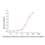 Standard Curve - Recombinant SARS-CoV-2 Spike RBD Protein (C-terminal Mouse Fc Tag) (A331838) - Antibodies.com