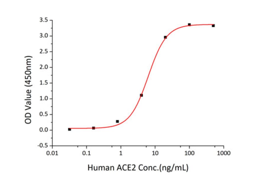 Standard Curve - Recombinant SARS-CoV-2 Spike RBD Protein (C-terminal His Tag) (A331839) - Antibodies.com