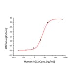Standard Curve - Recombinant SARS-CoV-2 Spike RBD Protein (C-terminal His Tag) (A331839) - Antibodies.com