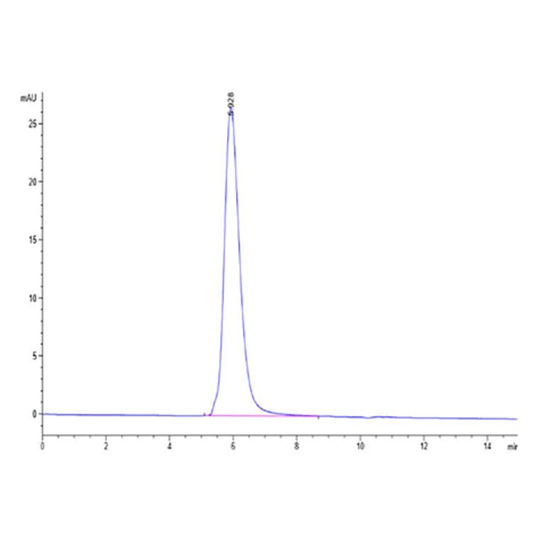 SEC-HPLC - Recombinant SARS-CoV-2 Spike RBD Protein (C-terminal His and Avi Tag) (A331840) - Antibodies.com