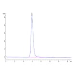 SEC-HPLC - Recombinant SARS-CoV-2 Spike RBD Protein (C-terminal His and Avi Tag) (A331840) - Antibodies.com