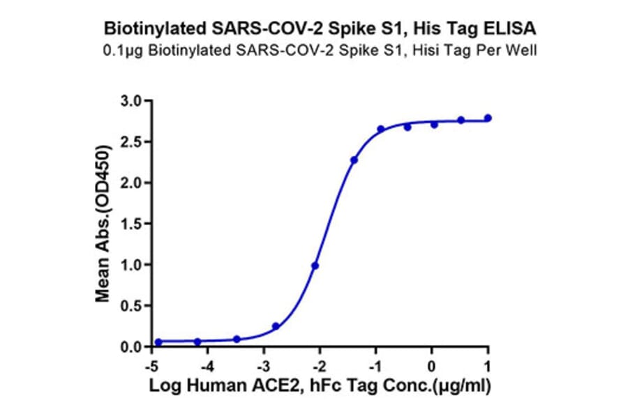 Standard Curve - Recombinant SARS-CoV-2 Spike RBD Protein (C-terminal His and Avi Tag) (A331840) - Antibodies.com
