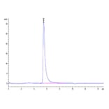 SEC-HPLC - Recombinant SARS-CoV-2 Spike RBD Protein (C-terminal Human Fc and Avi Tag) (A331841) - Antibodies.com