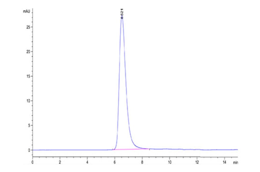 SEC-HPLC - Recombinant SARS-CoV-2 Spike RBD Protein (C-terminal His and Avi Tag) (A331842) - Antibodies.com