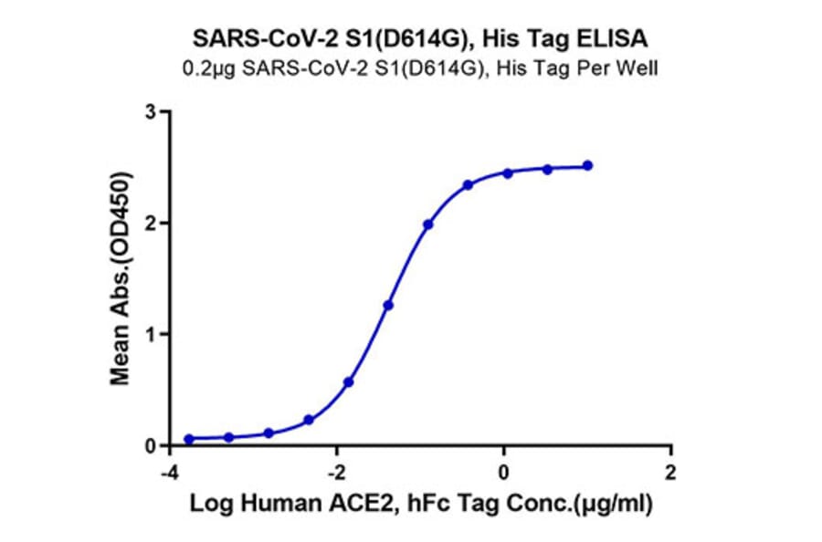 Standard Curve - Recombinant SARS-CoV-2 Spike RBD Protein (C-terminal His and Avi Tag) (A331842) - Antibodies.com