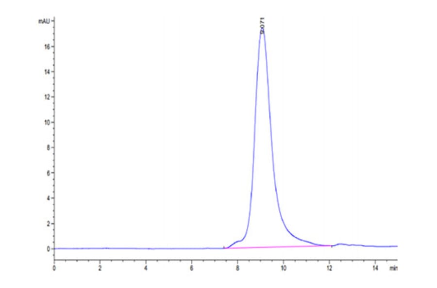 SEC-HPLC - Recombinant SARS-CoV-2 Spike RBD Protein (C-terminal His Tag) (A331843) - Antibodies.com