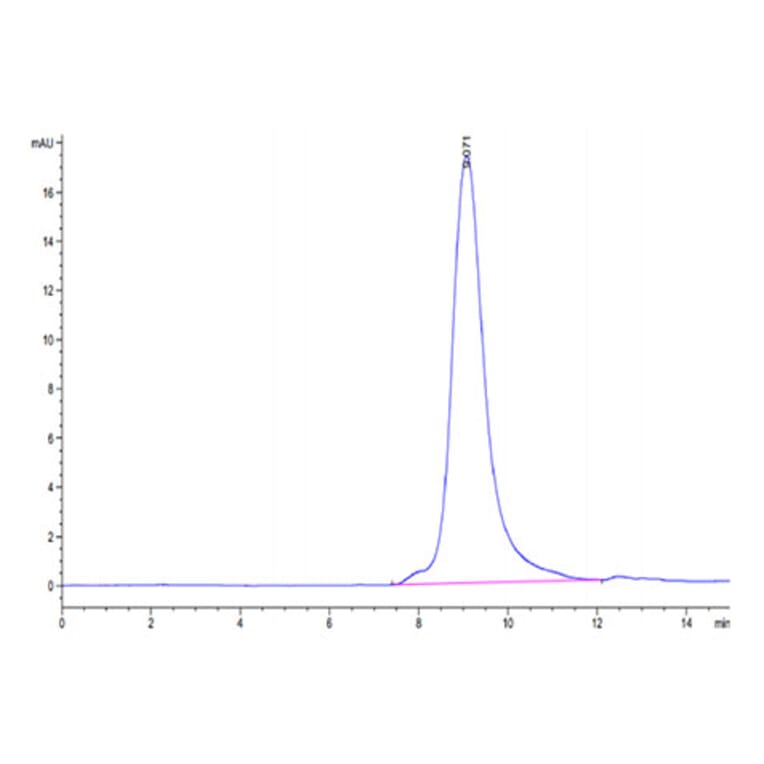 SEC-HPLC - Recombinant SARS-CoV-2 Spike RBD Protein (C-terminal His Tag) (A331843) - Antibodies.com
