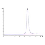 SEC-HPLC - Recombinant SARS-CoV-2 Spike RBD Protein (C-terminal His Tag) (A331843) - Antibodies.com