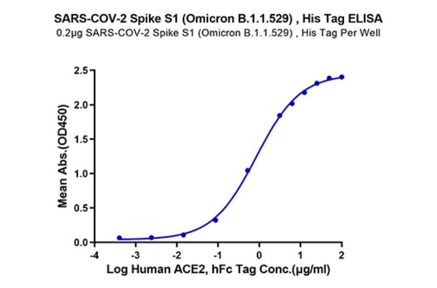 Standard Curve - Recombinant SARS-CoV-2 Spike RBD Protein (C-terminal His Tag) (A331843) - Antibodies.com