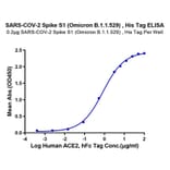 Standard Curve - Recombinant SARS-CoV-2 Spike RBD Protein (C-terminal His Tag) (A331843) - Antibodies.com