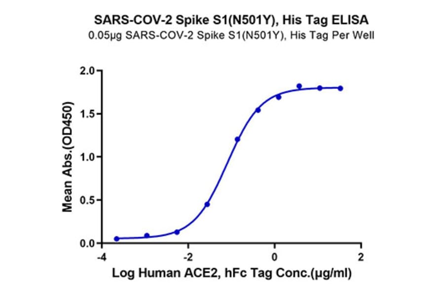Standard Curve - Recombinant SARS-CoV-2 Spike RBD Protein (C-terminal His Tag) (A331844) - Antibodies.com