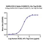Standard Curve - Recombinant SARS-CoV-2 Spike RBD Protein (C-terminal His Tag) (A331844) - Antibodies.com