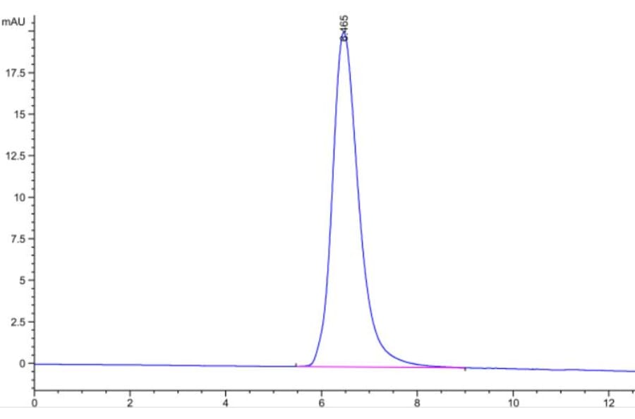 SEC-HPLC - Recombinant SARS-CoV-2 Spike RBD Protein (C-terminal His Tag) (A331845) - Antibodies.com