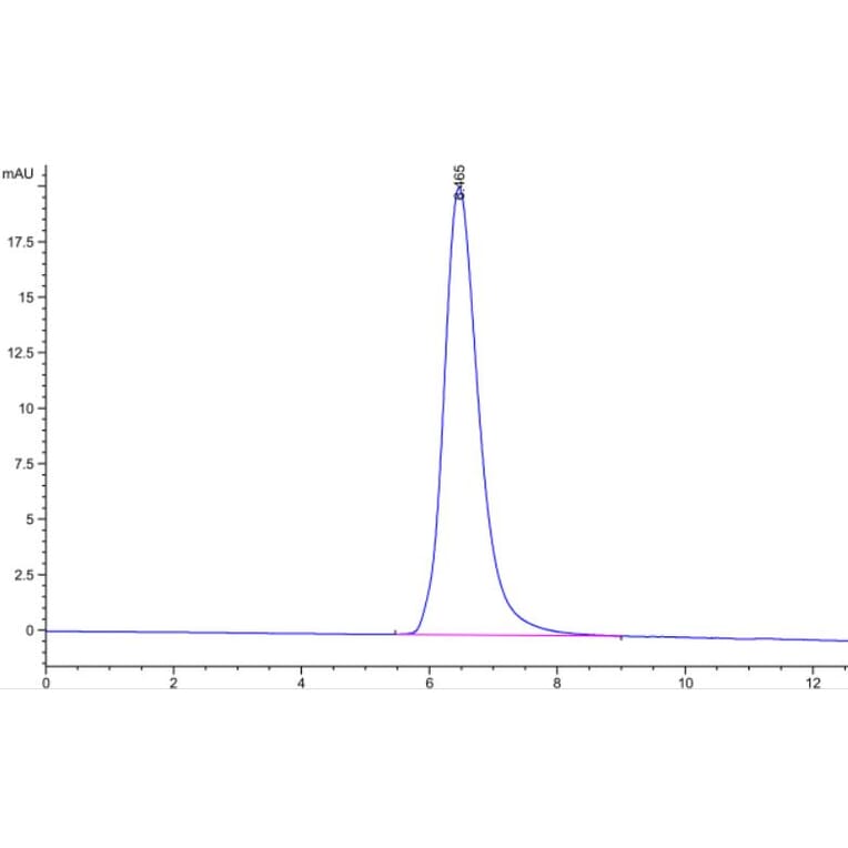 SEC-HPLC - Recombinant SARS-CoV-2 Spike RBD Protein (C-terminal His Tag) (A331845) - Antibodies.com