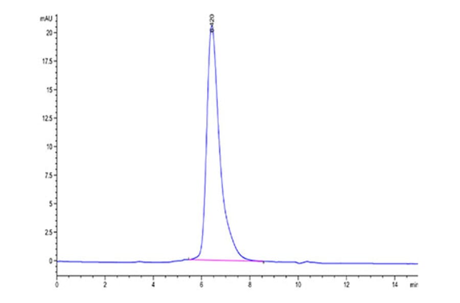 SEC-HPLC - Recombinant SARS-CoV-2 Spike RBD Protein (C-terminal His and Flag Tag) (A331846) - Antibodies.com