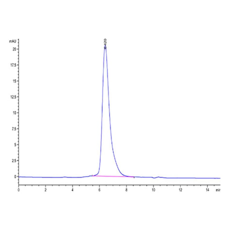 SEC-HPLC - Recombinant SARS-CoV-2 Spike RBD Protein (C-terminal His and Flag Tag) (A331846) - Antibodies.com