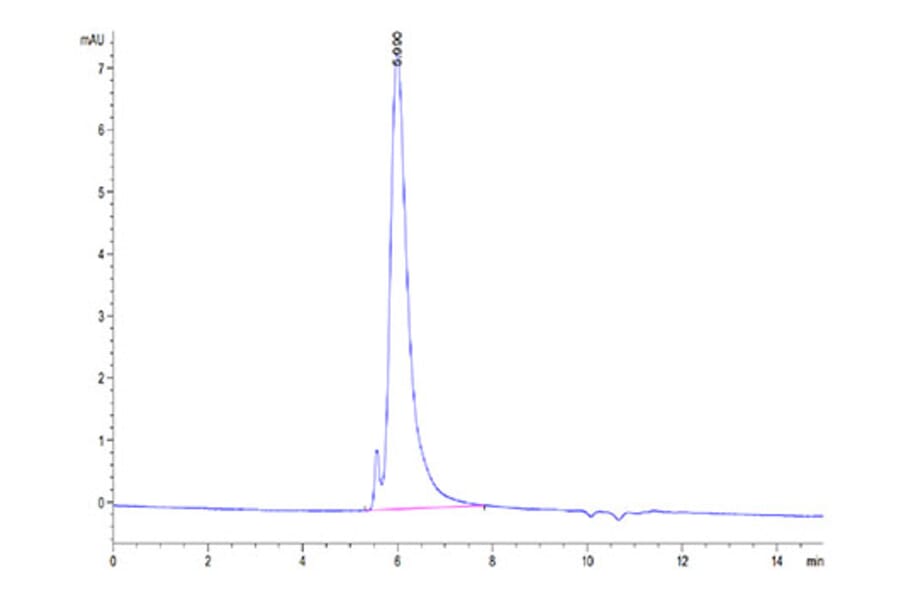 SEC-HPLC - Recombinant SARS-CoV-2 Spike RBD Protein (C-terminal His and Avi Tag) (A331847) - Antibodies.com
