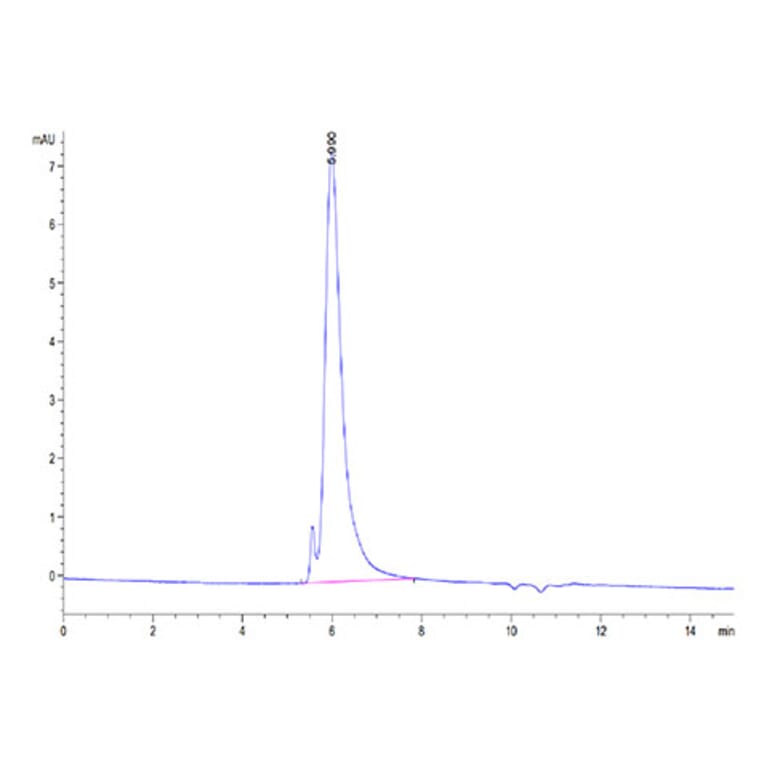SEC-HPLC - Recombinant SARS-CoV-2 Spike RBD Protein (C-terminal His and Avi Tag) (A331847) - Antibodies.com
