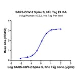 Standard Curve - Recombinant SARS-CoV-2 Spike RBD Protein (C-terminal Human Fc Tag) (A331848) - Antibodies.com