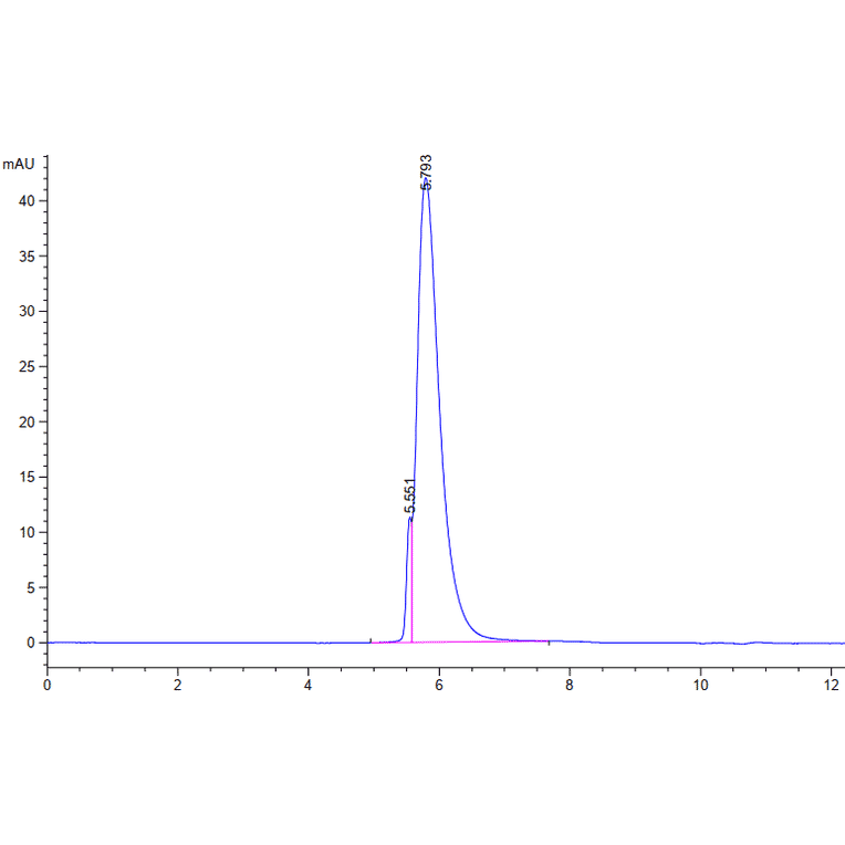SEC-HPLC - Recombinant SARS-CoV-2 Spike RBD Protein (C-terminal Human Fc Tag) (A331848) - Antibodies.com