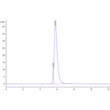 SEC-HPLC - Recombinant SARS-CoV-2 Spike RBD Protein (C-terminal Human Fc Tag) (A331848) - Antibodies.com