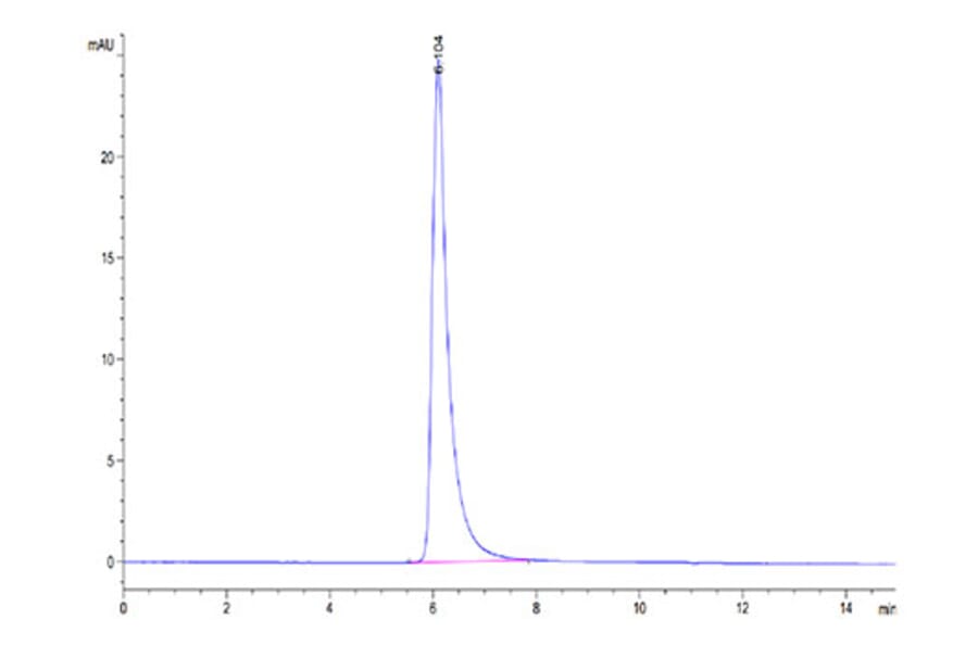 SEC-HPLC - Recombinant SARS-CoV-2 Spike RBD Protein (C-terminal His and Avi Tag) (A331849) - Antibodies.com