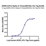 Standard Curve - Recombinant SARS-CoV-2 Spike RBD Protein (C-terminal His and Avi Tag) (A331849) - Antibodies.com