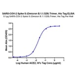 Standard Curve - Recombinant SARS-CoV-2 Spike RBD Protein (C-terminal His Tag) (A331850) - Antibodies.com