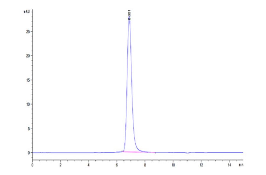 SEC-HPLC - Recombinant Cynomolgus macaque SIRP alpha Protein (C-terminal His Tag) (A331861) - Antibodies.com