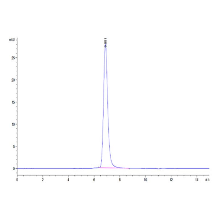 SEC-HPLC - Recombinant Cynomolgus macaque SIRP alpha Protein (C-terminal His Tag) (A331861) - Antibodies.com