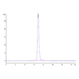 SEC-HPLC - Recombinant Cynomolgus macaque SIRP alpha Protein (C-terminal His Tag) (A331861) - Antibodies.com