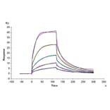 SPR Assay - Recombinant Cynomolgus macaque SIRP alpha Protein (C-terminal His Tag) (A331861) - Antibodies.com
