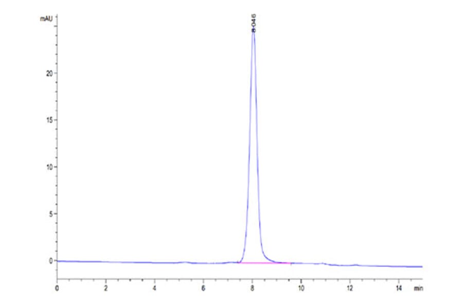 SEC-HPLC - Recombinant Human SIRP beta 1 Protein (Biotin) (C-terminal His and Avi Tag) (A331866) - Antibodies.com